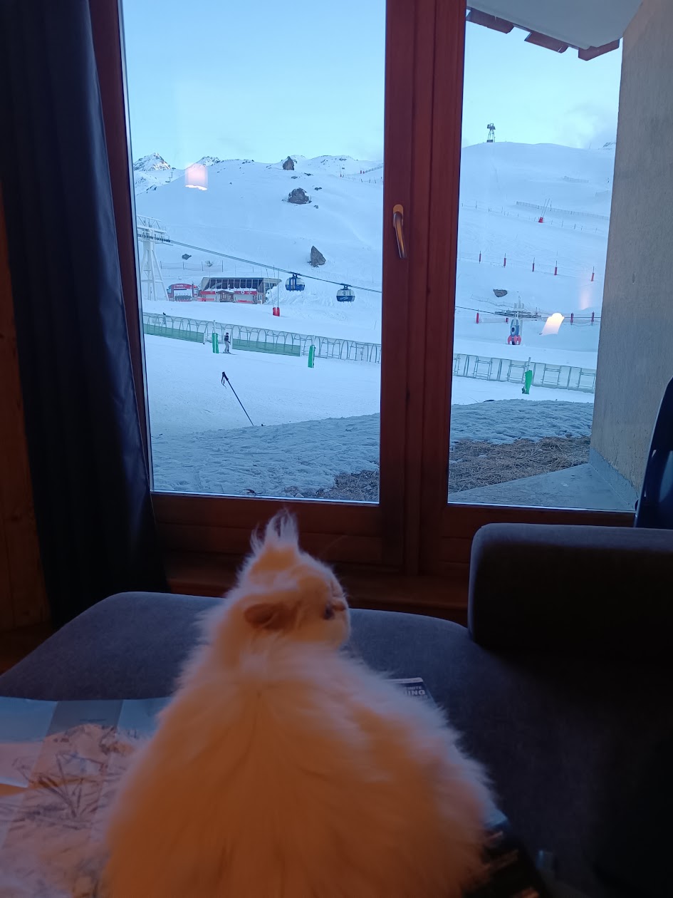 Vue depuis le séjour